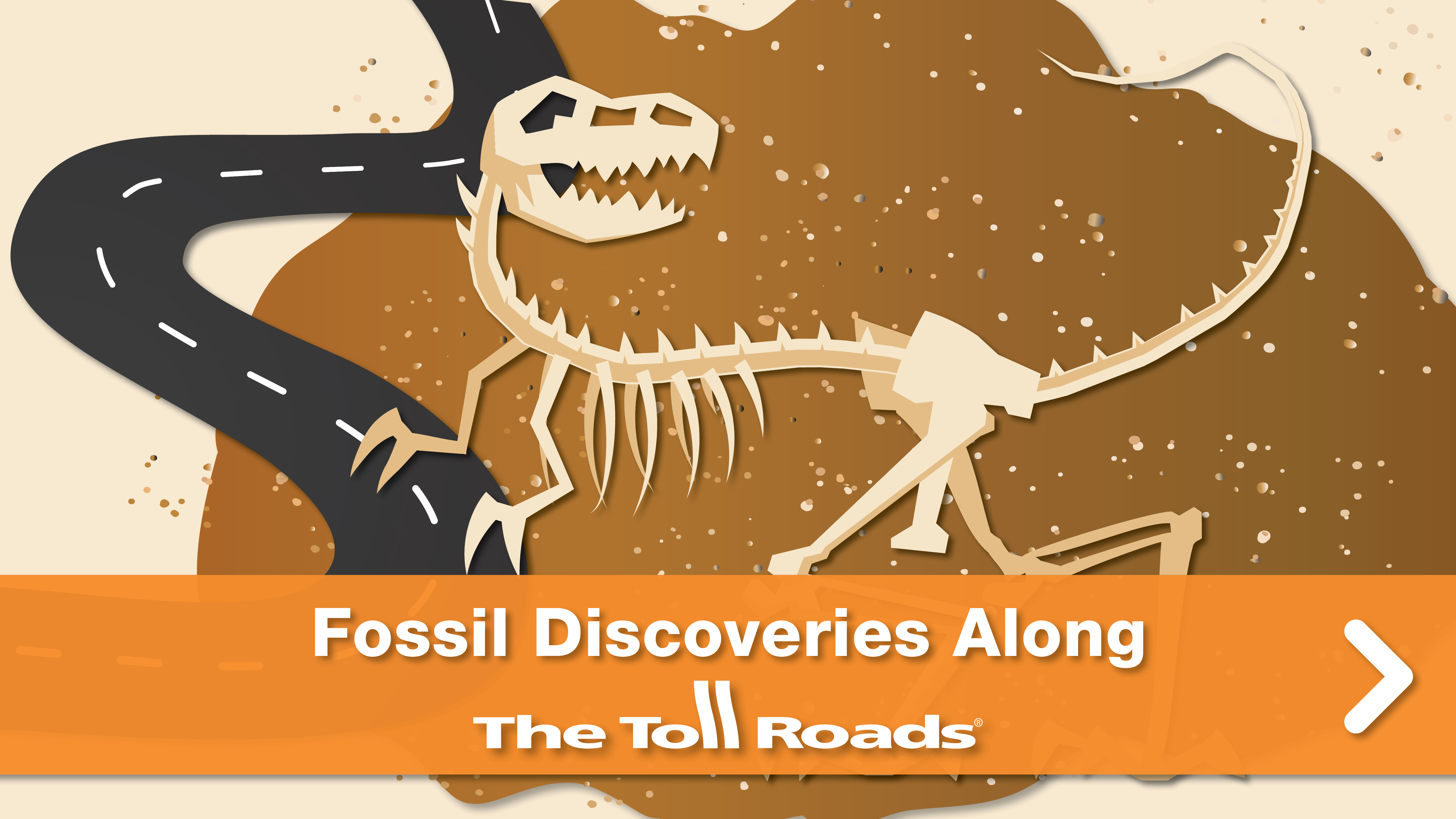 Fossil Discoveries Along The Toll Roads