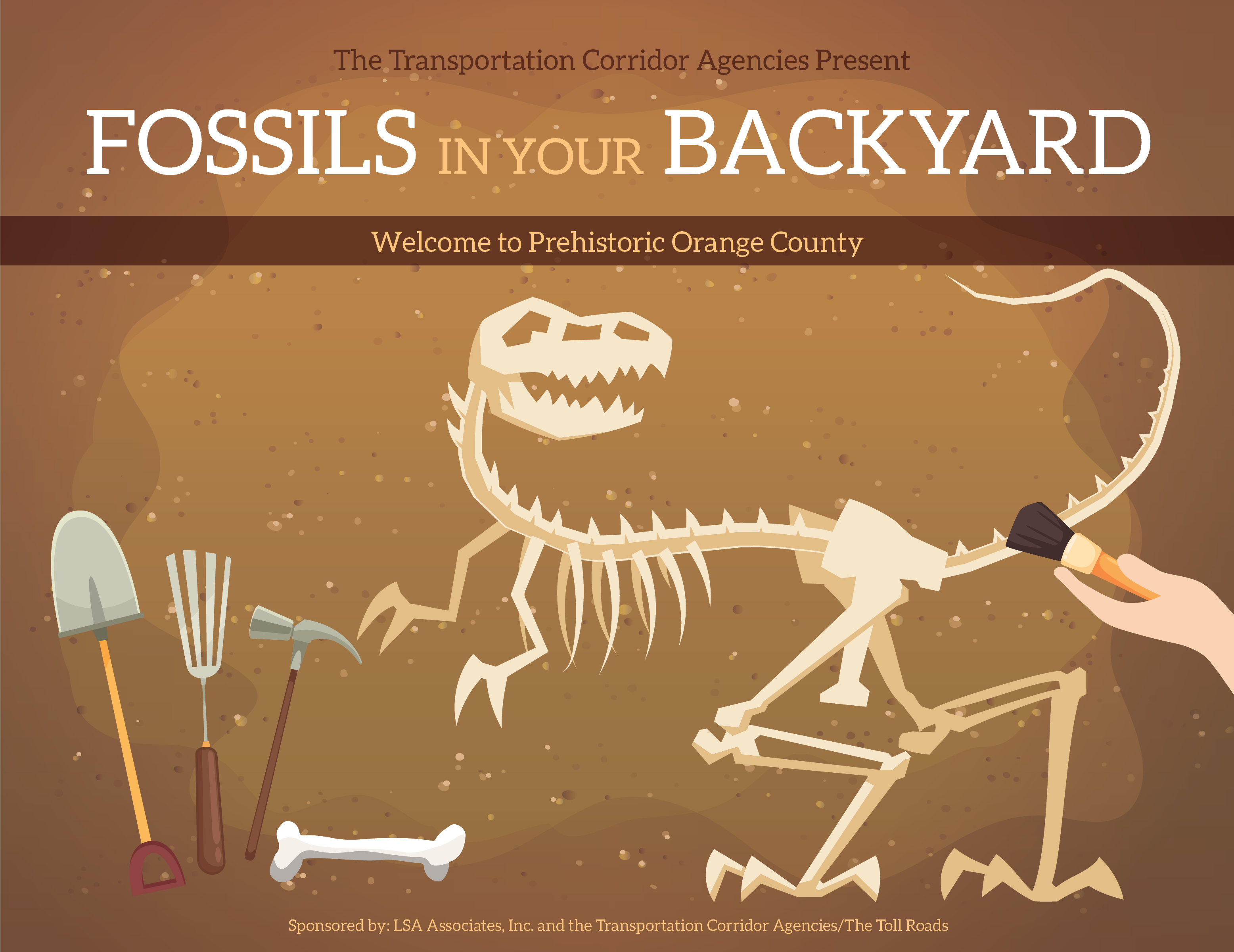 Fossils in your Backyard