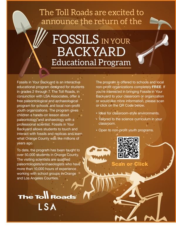 Fossils In Your Backyard