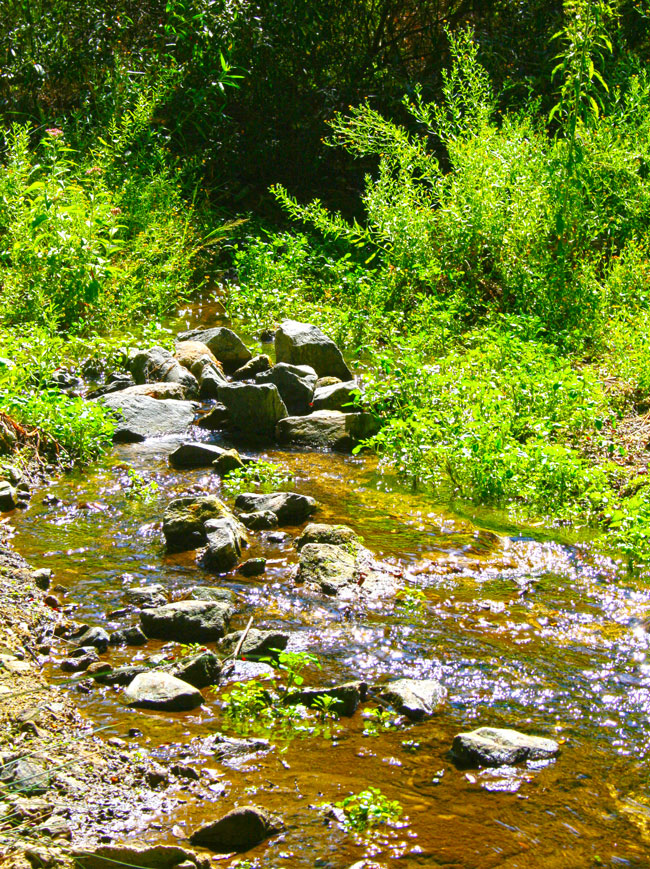 Bonita Creek
