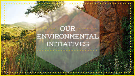 Our Environmental Initiatives