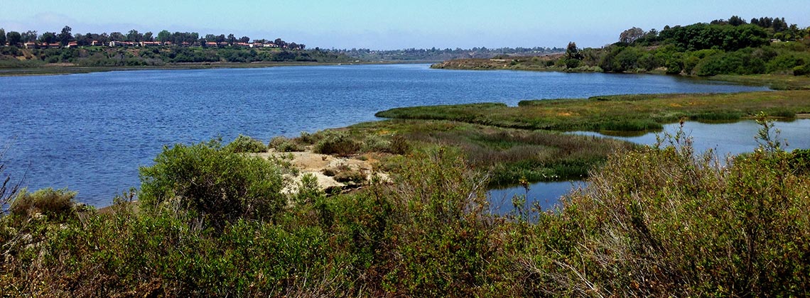 a grassy and sandy strip of land bordered by blue rippling water on the left and small ponds on the right